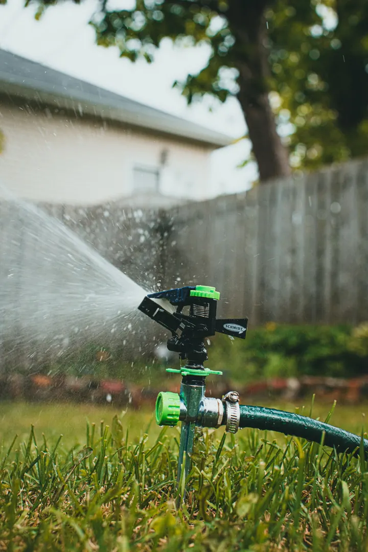 Rotating sprinkler watering a backyard lawn